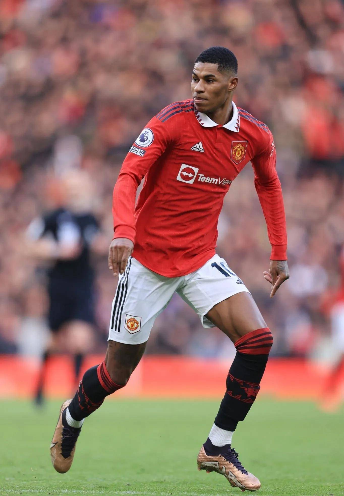 略显然是一 略显然是一